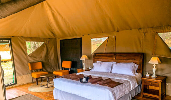 BAOBAB TENTED CAMP: Tarangire park - Image 3
