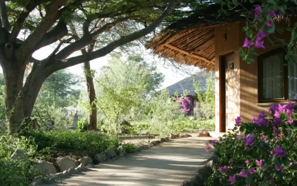 KIA LODGE :ARUSHA - Image 2
