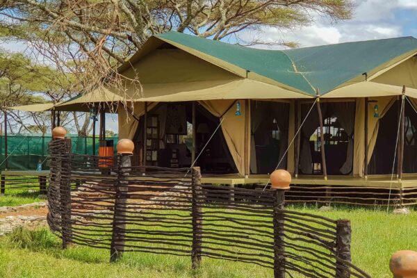 A Typical Day on Safari - Image 2