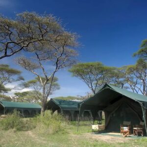 KIRURUMO TARANGIRE LODGE: Tarangire park