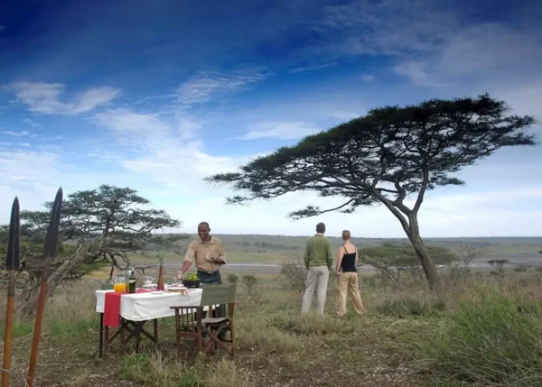 KIRURUMO TARANGIRE LODGE: Tarangire park - Image 2