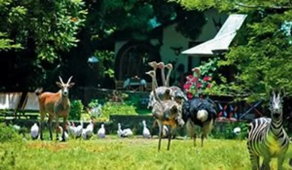 MOUNT MERU GAME LODGE: ARUSHA - Image 5