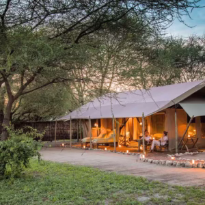 ROIKA TARANGIRE TENTED CAMP: Tarangire park