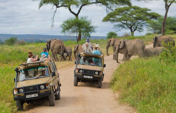 Tarangire National Park - Image 4