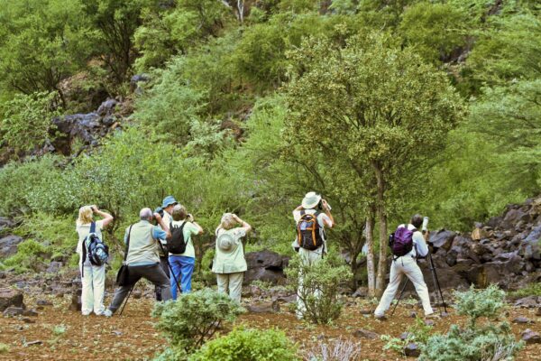 Walking African safaris - Image 3
