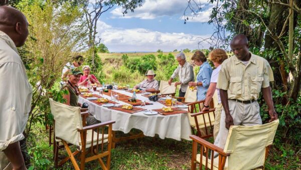 Walking African safaris - Image 2