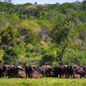 Arusha National Park