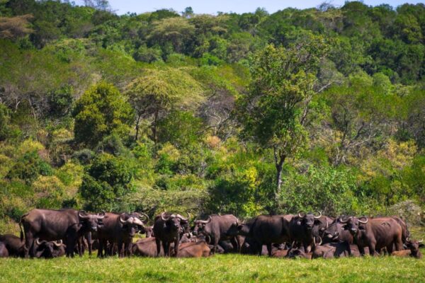 Arusha National Park