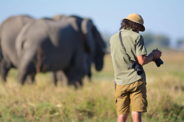 Big 5 Safari in Africa - Image 7