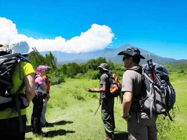 Arusha National Park Day Trip - Image 3