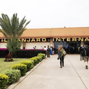 Safari Tips for First-Timers