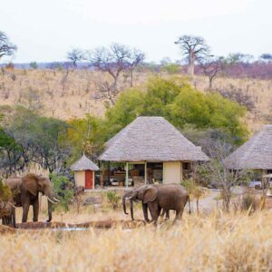 MAWENINGA CAMP TARANGIRE: Tarangire park