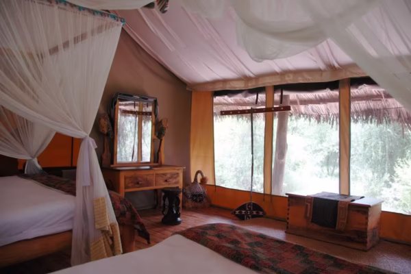 ROIKA TARANGIRE TENTED CAMP: Tarangire park - Image 3