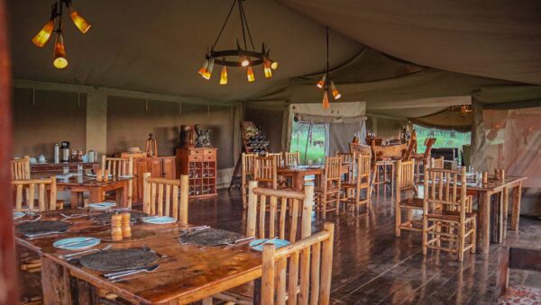 ASANJA MORU: Centre Serengeti