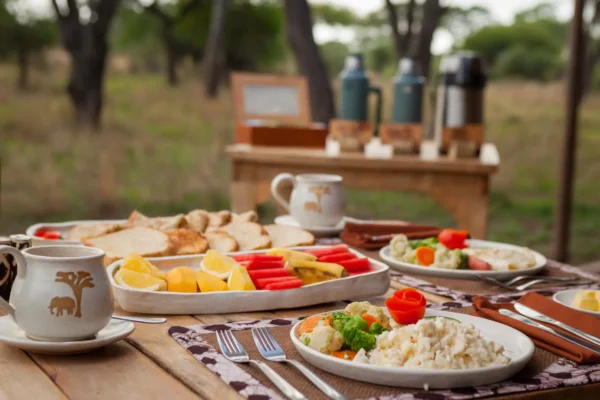 BAOBAB TENTED CAMP: Tarangire park - Image 5