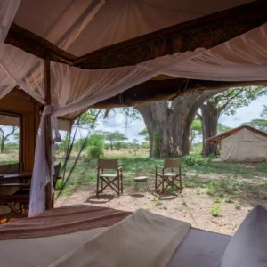 BAOBAB TENTED CAMP: Tarangire park