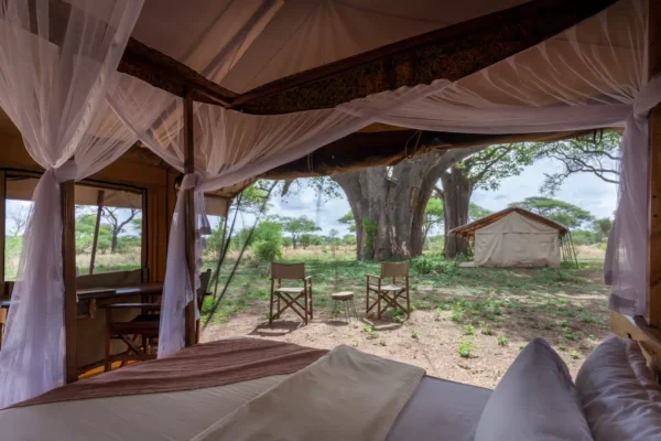16Days/ 15Nights Unforgettable  Tanzania Adventure