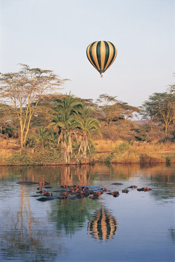 Balloon Safari in Tanzania - Image 4