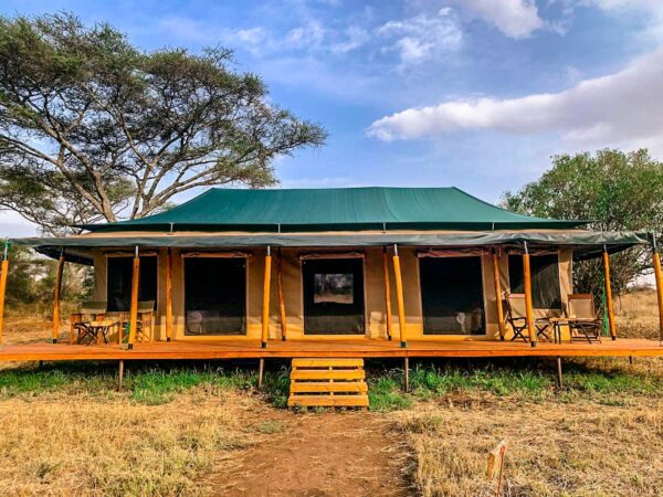 BAOBAB TENTED CAMP: Tarangire park - Image 4