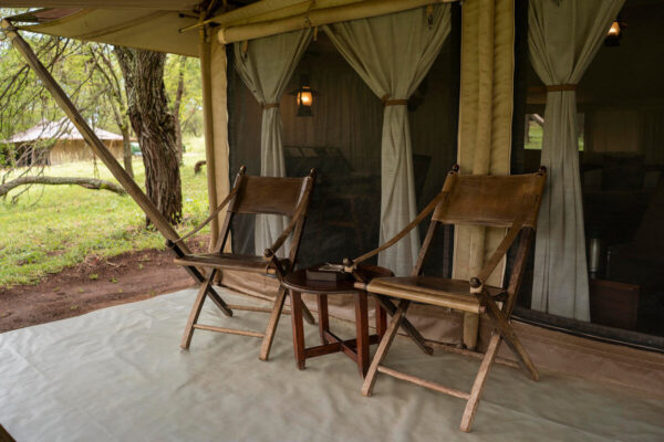 Big 5 Safari in Africa - Image 4