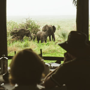 Family Safari in Tanzania