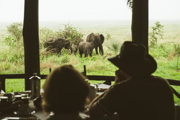 Family Safari in Tanzania
