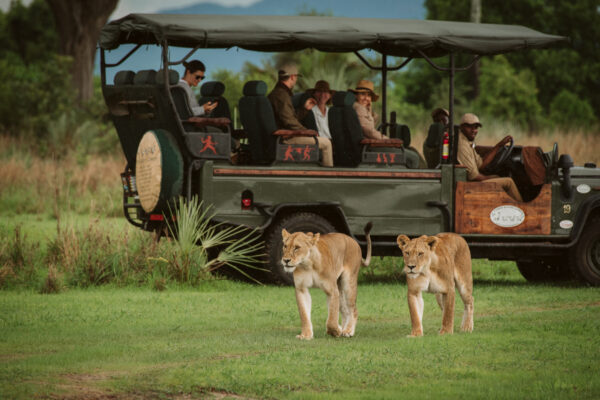 Honeymoon  in Tanzania - Image 7