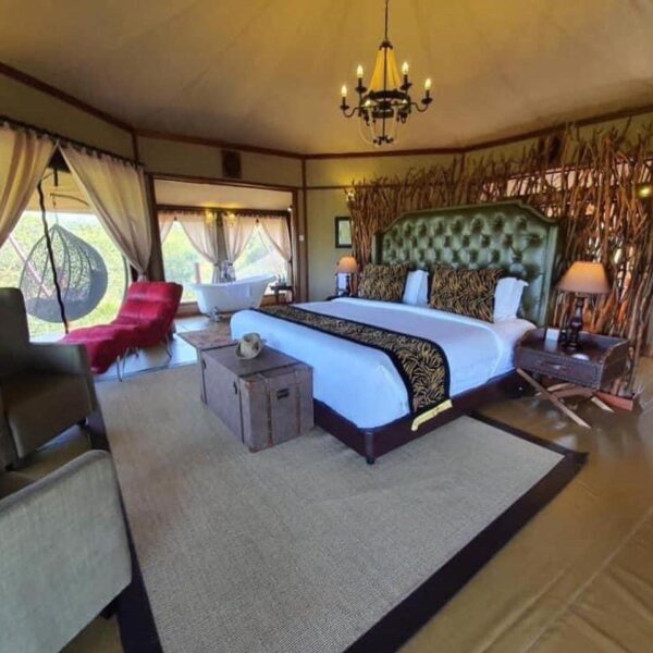 Tented Camps vs. Safari Lodges - Image 2