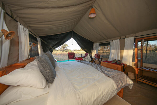 8 Days / 7 Nights Classic Northern Tanzania Safari - Image 3