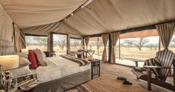 NIMALI CENTRAL SERENGETI: Centre Serengeti - Image 3