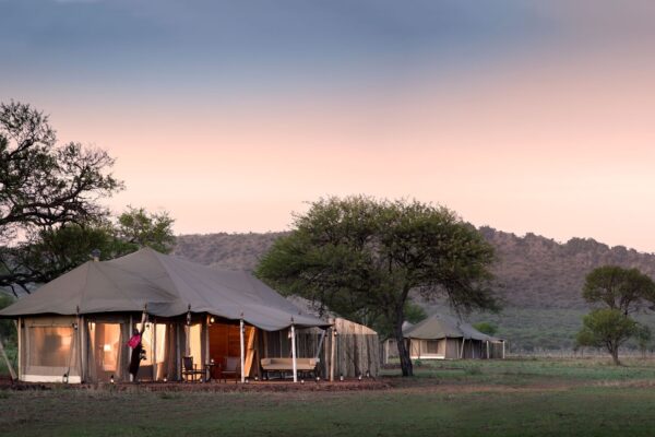 ONE NATURE NYARUSWIGA: Centre Serengeti - Image 7