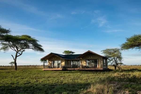 SERENGETI SAMETU: Centre Serengeti - Image 7
