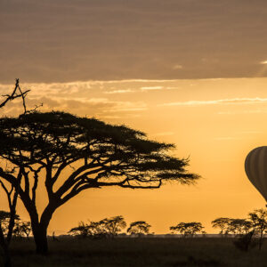 Balloon Safari in Tanzania