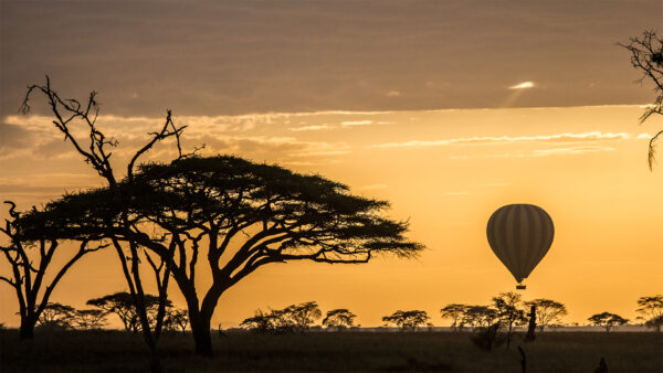 Balloon Safari in Tanzania