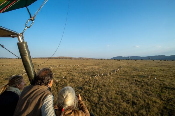 Balloon Safari in Tanzania - Image 5