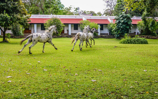 NGARE SERO MOUNTAIN LODGE: ARUSHA - Image 7