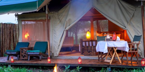 ASANJA MORU: Centre Serengeti - Image 2