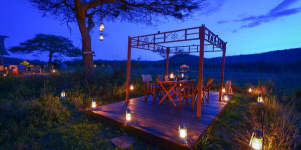ASANJA MORU: Centre Serengeti - Image 6