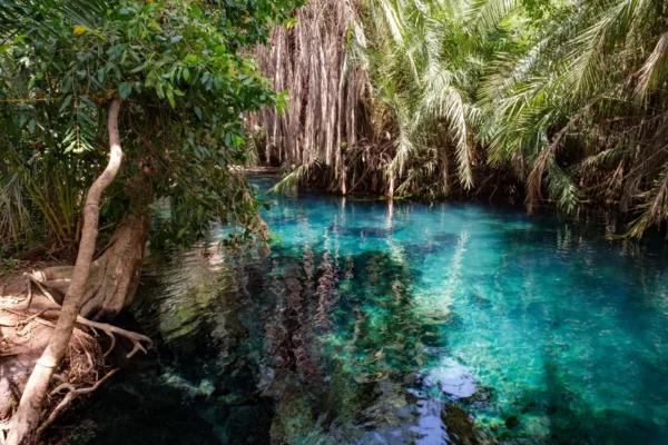 CHEMKA HOTSPRING – ARUSHA.