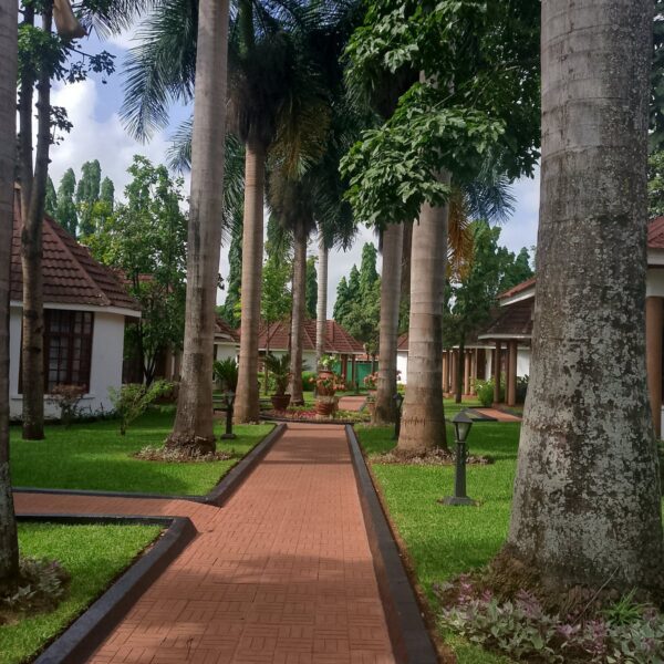 SAL SALINERO HOTEL:MOSHI - Image 6