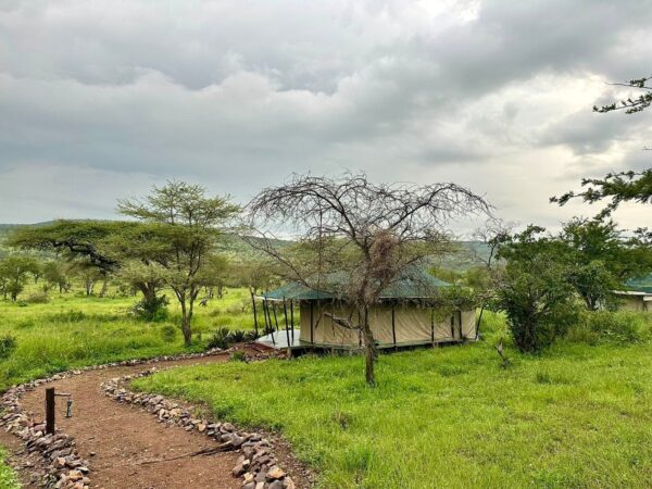 OLE SERAI LUXURY CAMP – MORU KOPJES BY WELLWORTH : Centre Serengeti - Image 8
