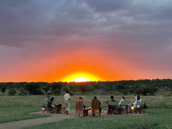A Typical Day on Safari - Image 6