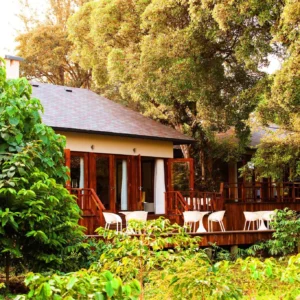 LAKE DULUTI LODGE: ARUSHA