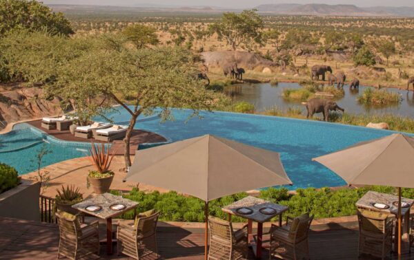 FOUR SEASON SAFARI LODGE: Centre Serengeti