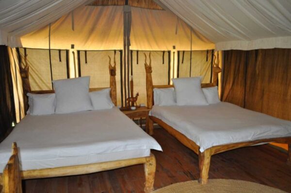 ROIKA TARANGIRE TENTED CAMP: Tarangire park - Image 2