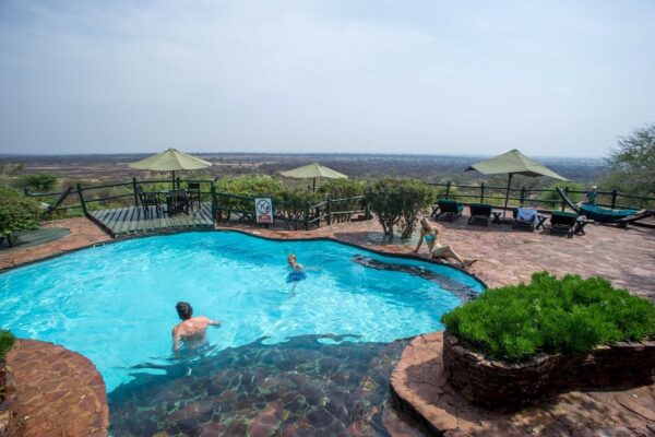 A Typical Day on Safari - Image 4