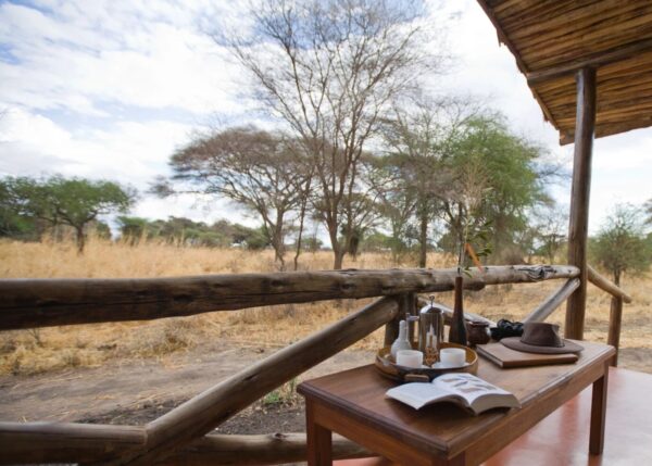 KIRURUMO TARANGIRE LODGE: Tarangire park - Image 6