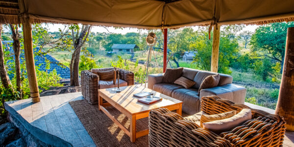 NIMALI TARANGIRE: Tarangire park
