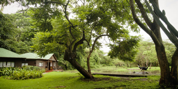 MOUNT MERU GAME LODGE: ARUSHA - Image 2
