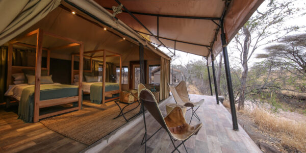 NIMALI TARANGIRE: Tarangire park - Image 2